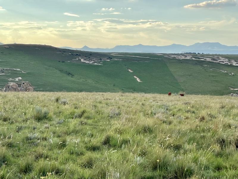 0 Bedroom Property for Sale in Fouriesburg Free State